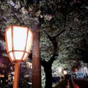 みれい すみません！ 道玄坂クリスタル