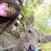 ヒメ日記 2026/04/20 15:19 投稿 みれい 道玄坂クリスタル