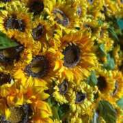 ヒメ日記 2025/08/15 19:22 投稿 葵原 由希 MADAM RENA 名古屋