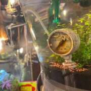 ヒメ日記 2025/10/06 19:32 投稿 葵原 由希 MADAM RENA 名古屋