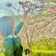 ヒメ日記 2025/12/27 19:22 投稿 葵原 由希 MADAM RENA 名古屋