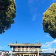 ヒメ日記 2026/01/05 19:22 投稿 葵原 由希 MADAM RENA 名古屋