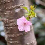 ヒメ日記 2026/02/06 18:42 投稿 葵原 由希 MADAM RENA 名古屋