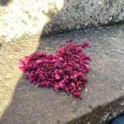 ヒメ日記 2026/03/07 18:52 投稿 葵原 由希 MADAM RENA 名古屋