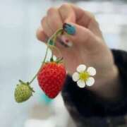 ヒメ日記 2026/03/20 18:32 投稿 葵原 由希 MADAM RENA 名古屋