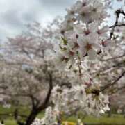 ヒメ日記 2026/04/02 18:02 投稿 葵原 由希 MADAM RENA 名古屋