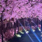 ヒメ日記 2026/04/19 18:52 投稿 葵原 由希 MADAM RENA 名古屋