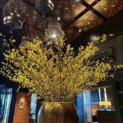 ヒメ日記 2026/07/12 18:30 投稿 葵原 由希 MADAM RENA 名古屋