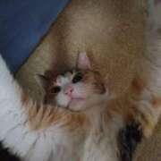 ヒメ日記 2025/05/06 12:57 投稿 もか モアグループ春日部人妻城