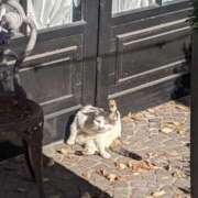 もか 2回投稿だったらすみません、出勤しました！ モアグループ春日部人妻城