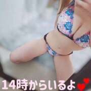 ヒメ日記 2025/12/13 12:05 投稿 ひまり 木更津人妻花壇