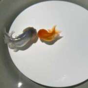 ヒメ日記 2025/08/09 08:31 投稿 みなみ 水戸ソープランド　水戸スリーナイン(9990)