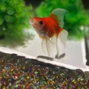 ヒメ日記 2025/08/18 12:05 投稿 みなみ 水戸ソープランド　水戸スリーナイン(9990)