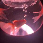 ヒメ日記 2025/08/24 08:41 投稿 みなみ 水戸ソープランド　水戸スリーナイン(9990)