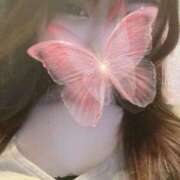 ヒメ日記 2025/04/25 15:48 投稿 かるあ ルーフ福井