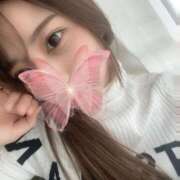 ヒメ日記 2025/04/27 17:48 投稿 かるあ ルーフ福井