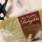 ヒメ日記 2025/06/27 22:27 投稿 しおん Number Five 品川（シンデレラグループ）