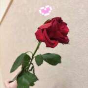 ヒメ日記 2025/07/25 22:39 投稿 しおん Number Five 品川（シンデレラグループ）