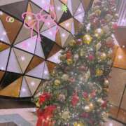 ヒメ日記 2025/12/08 23:14 投稿 しおん Number Five 品川（シンデレラグループ）