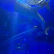 ヒメ日記 2025/06/17 20:05 投稿 めい WHITE（金沢）