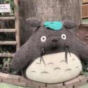 ヒメ日記 2025/07/14 19:36 投稿 めい WHITE（金沢）