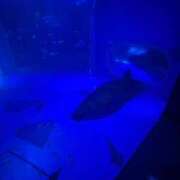 ヒメ日記 2025/07/25 22:57 投稿 めい CLUB ROOKIE（ルーキー）