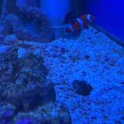 ヒメ日記 2025/08/27 20:15 投稿 めい WHITE（金沢）