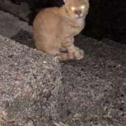 ヒメ日記 2025/08/29 22:23 投稿 めい WHITE（金沢）