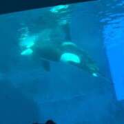 ヒメ日記 2025/08/30 21:26 投稿 めい WHITE（金沢）