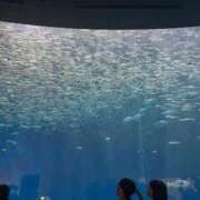 ヒメ日記 2025/09/05 21:32 投稿 めい WHITE（金沢）