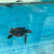 ヒメ日記 2025/10/01 22:13 投稿 めい WHITE（金沢）