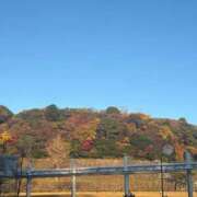 ヒメ日記 2025/11/29 20:21 投稿 めい WHITE（金沢）