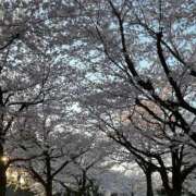 ヒメ日記 2026/06/13 21:45 投稿 めい CLUB ROOKIE（ルーキー）