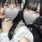 ヒメ日記 2025/11/01 21:33 投稿 まよい ∞ (はっち)