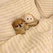 ヒメ日記 2025/04/23 02:05 投稿 かりな 風神会館新宿店