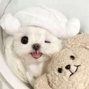 ヒメ日記 2025/04/23 03:35 投稿 かりな 風神会館新宿店