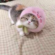 ヒメ日記 2025/04/24 23:23 投稿 かりな 風神会館新宿店