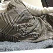 ヒメ日記 2025/04/24 13:39 投稿 たま 町田人妻城