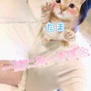 ヒメ日記 2025/04/24 21:34 投稿 たま 町田人妻城