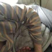 ヒメ日記 2025/04/26 08:44 投稿 たま 町田人妻城