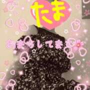 ヒメ日記 2025/04/30 12:10 投稿 たま 町田人妻城