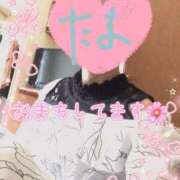 ヒメ日記 2025/05/04 18:08 投稿 たま 町田人妻城