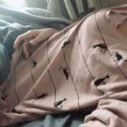 ヒメ日記 2025/05/05 09:39 投稿 たま 町田人妻城