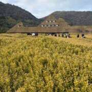 ヒメ日記 2026/02/15 23:04 投稿 ゆうな 即アポマダム～名古屋店～