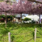 ヒメ日記 2026/04/05 23:51 投稿 ゆうな 即アポマダム～名古屋店～