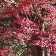 ゆうな 寒い日 即アポ奥さん〜名古屋店〜