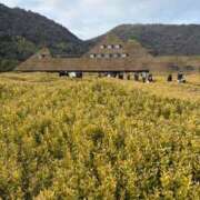 ヒメ日記 2026/03/08 17:41 投稿 ゆうな 即アポ奥さん〜名古屋店〜