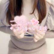 ヒメ日記 2025/04/27 12:46 投稿 沢城 かず音 人妻セレブ宮殿