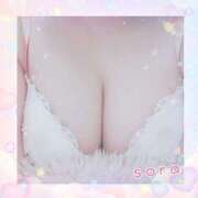 ヒメ日記 2025/05/27 07:17 投稿 そら 立川ちゃんこ