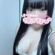 ヒメ日記 2025/05/30 00:53 投稿 ふわり もみもみワンダーランド